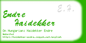 endre haidekker business card